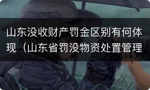 山东没收财产罚金区别有何体现（山东省罚没物资处置管理办法）