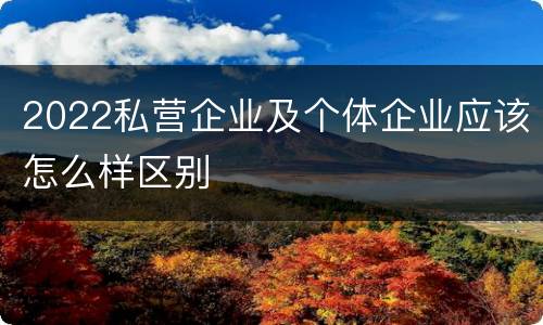 2022私营企业及个体企业应该怎么样区别