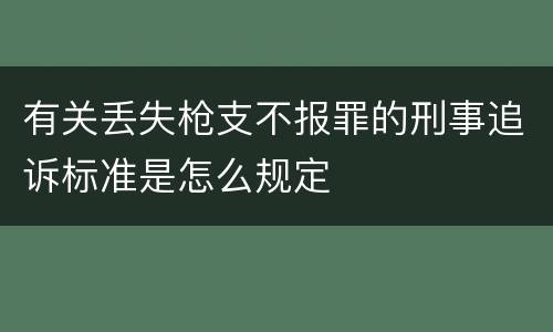 有关丢失枪支不报罪的刑事追诉标准是怎么规定