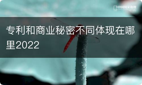 专利和商业秘密不同体现在哪里2022