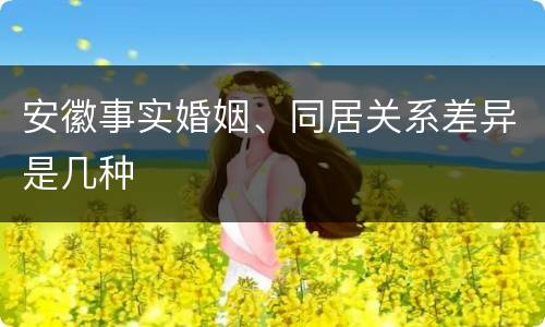 安徽事实婚姻、同居关系差异是几种
