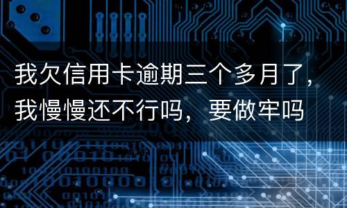 我欠信用卡逾期三个多月了，我慢慢还不行吗，要做牢吗
