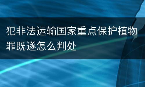 犯非法运输国家重点保护植物罪既遂怎么判处