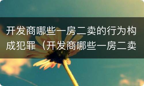 开发商哪些一房二卖的行为构成犯罪（开发商哪些一房二卖的行为构成犯罪）