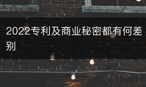 2022专利及商业秘密都有何差别