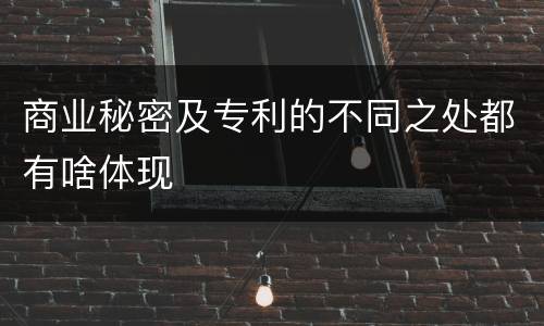 商业秘密及专利的不同之处都有啥体现