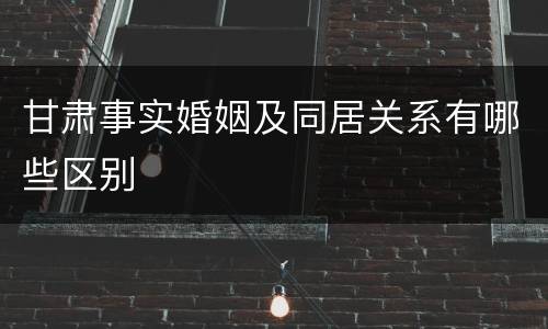 甘肃事实婚姻及同居关系有哪些区别