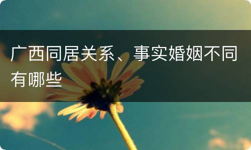 广西同居关系、事实婚姻不同有哪些