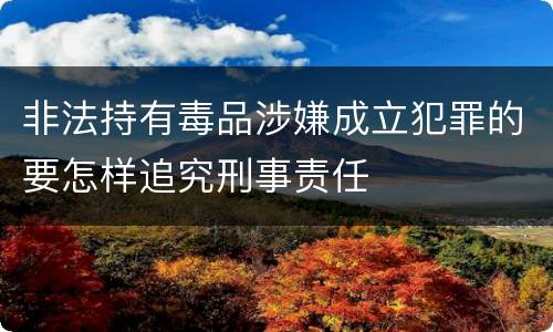 非法持有毒品涉嫌成立犯罪的要怎样追究刑事责任