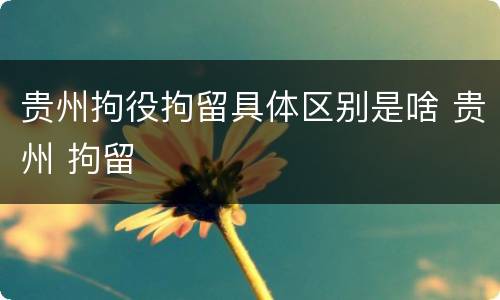 贵州拘役拘留具体区别是啥 贵州 拘留