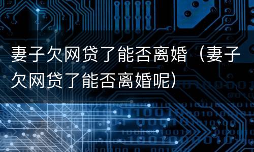 妻子欠网贷了能否离婚（妻子欠网贷了能否离婚呢）