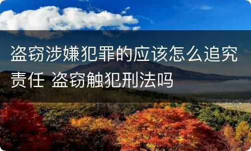 盗窃涉嫌犯罪的应该怎么追究责任 盗窃触犯刑法吗