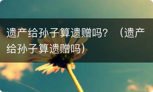 遗产给孙子算遗赠吗？（遗产给孙子算遗赠吗）