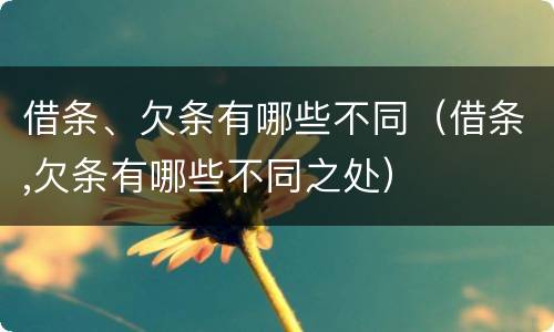 借条、欠条有哪些不同（借条,欠条有哪些不同之处）
