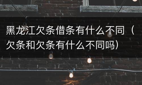 黑龙江欠条借条有什么不同（欠条和欠条有什么不同吗）