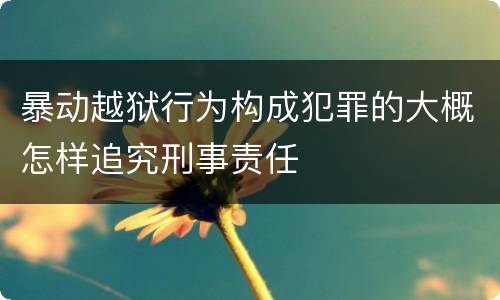 暴动越狱行为构成犯罪的大概怎样追究刑事责任