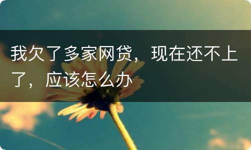 我欠了多家网贷，现在还不上了，应该怎么办