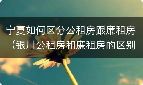 宁夏如何区分公租房跟廉租房（银川公租房和廉租房的区别）