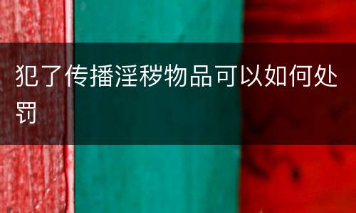 犯了传播淫秽物品可以如何处罚
