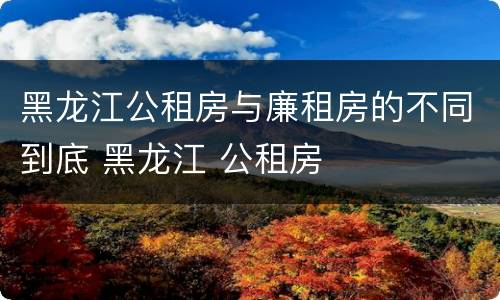 黑龙江公租房与廉租房的不同到底 黑龙江 公租房