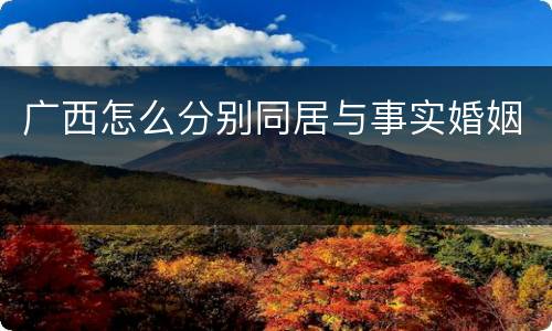 广西怎么分别同居与事实婚姻