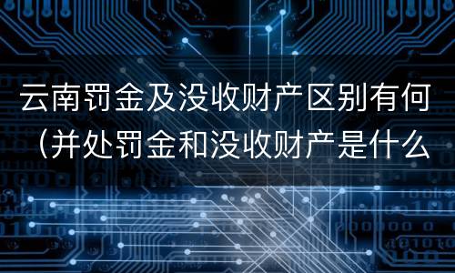 云南罚金及没收财产区别有何（并处罚金和没收财产是什么意思）