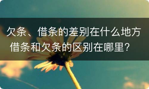 欠条、借条的差别在什么地方 借条和欠条的区别在哪里?