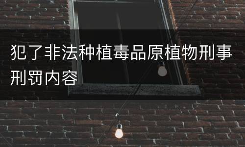 犯了非法种植毒品原植物刑事刑罚内容