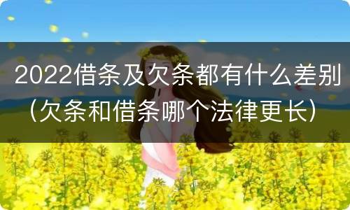 2022借条及欠条都有什么差别（欠条和借条哪个法律更长）