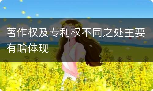 著作权及专利权不同之处主要有啥体现
