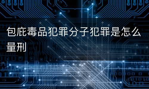 包庇毒品犯罪分子犯罪是怎么量刑