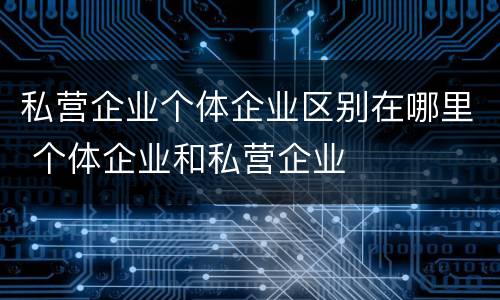 私营企业个体企业区别在哪里 个体企业和私营企业