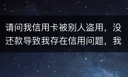 请问我信用卡被别人盗用，没还款导致我存在信用问题，我该怎么办
