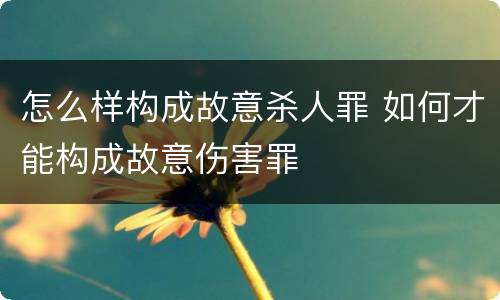 怎么样构成故意杀人罪 如何才能构成故意伤害罪