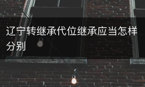 辽宁转继承代位继承应当怎样分别