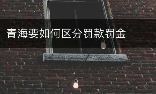 青海要如何区分罚款罚金