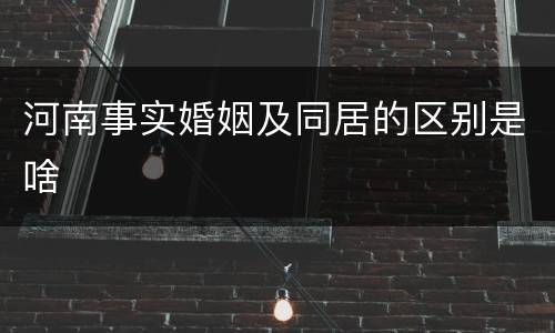 河南事实婚姻及同居的区别是啥