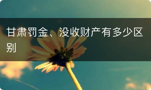 甘肃罚金、没收财产有多少区别