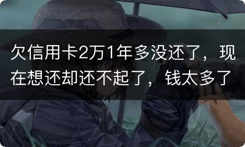欠信用卡2万1年多没还了，现在想还却还不起了，钱太多了，会有什么后果