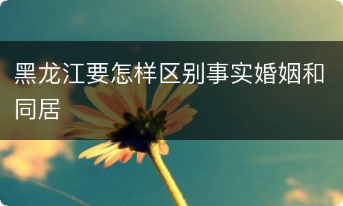 黑龙江要怎样区别事实婚姻和同居