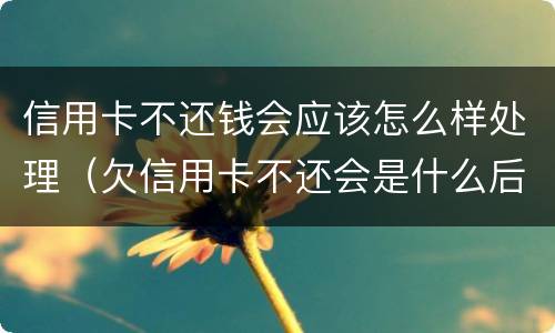 信用卡不还钱会应该怎么样处理（欠信用卡不还会是什么后果）
