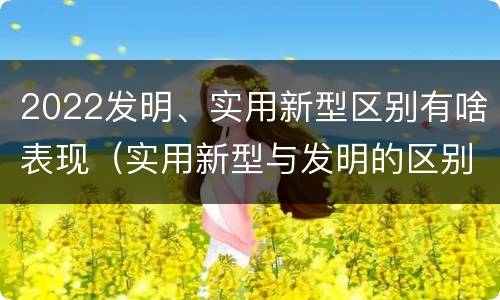2022发明、实用新型区别有啥表现（实用新型与发明的区别有哪些）