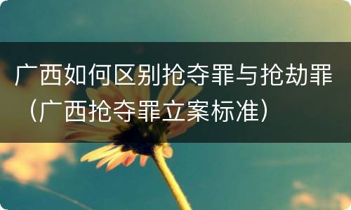 广西如何区别抢夺罪与抢劫罪（广西抢夺罪立案标准）