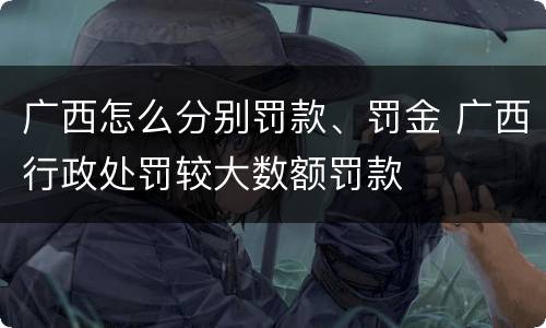 广西怎么分别罚款、罚金 广西行政处罚较大数额罚款