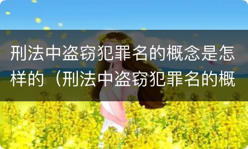刑法中盗窃犯罪名的概念是怎样的（刑法中盗窃犯罪名的概念是怎样的规定）