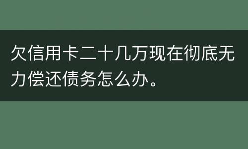 欠信用卡二十几万现在彻底无力偿还债务怎么办。