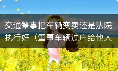 交通肇事把车辆变卖还是法院执行好（肇事车辆过户给他人,法院还能执行吗）