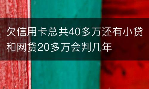 欠信用卡总共40多万还有小贷和网贷20多万会判几年