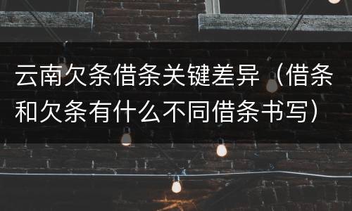 云南欠条借条关键差异（借条和欠条有什么不同借条书写）