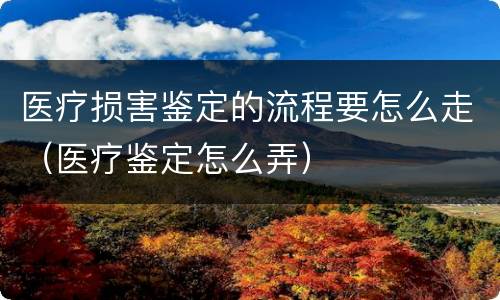 医疗损害鉴定的流程要怎么走（医疗鉴定怎么弄）